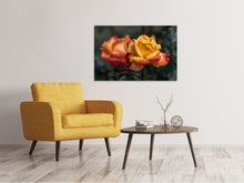 Laden Sie das Bild in den Galerie-Viewer, Leinwandbild Die Rose im Garten