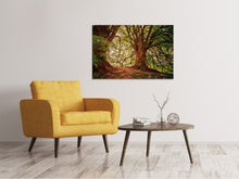 Laden Sie das Bild in den Galerie-Viewer, Leinwandbild Im dichten Wald