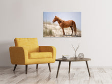 Laden Sie das Bild in den Galerie-Viewer, Leinwandbild Wilder spanischer Mustang