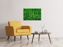Laden Sie das Bild in den Galerie-Viewer, Leinwandbild Die Wiese in XL