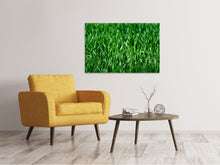 Laden Sie das Bild in den Galerie-Viewer, Leinwandbild Die Wiese in XL