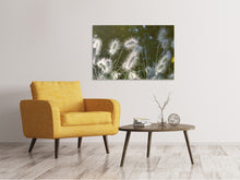 Laden Sie das Bild in den Galerie-Viewer, Leinwandbild Ziergräser in XL