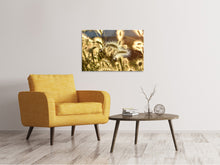Laden Sie das Bild in den Galerie-Viewer, Leinwandbild Ziergras im Sonnenlicht