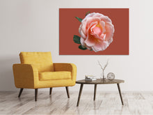 Laden Sie das Bild in den Galerie-Viewer, Leinwandbild Rose in rosa XXL