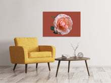 Laden Sie das Bild in den Galerie-Viewer, Leinwandbild Rose in rosa XXL