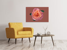 Laden Sie das Bild in den Galerie-Viewer, Leinwandbild Rose in apricot XXL
