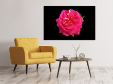 Laden Sie das Bild in den Galerie-Viewer, Leinwandbild Rose in rot XXL