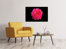 Laden Sie das Bild in den Galerie-Viewer, Leinwandbild Rose in rot XXL