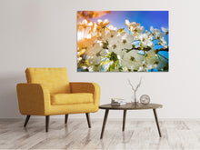 Laden Sie das Bild in den Galerie-Viewer, Leinwandbild Die Apfelbaum Blüte