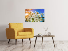 Laden Sie das Bild in den Galerie-Viewer, Leinwandbild Die Apfelbaum Blüte