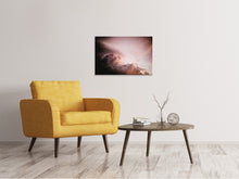 Laden Sie das Bild in den Galerie-Viewer, Leinwandbild Rosa Wolken