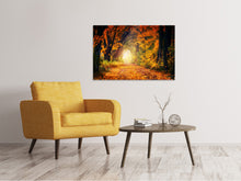Laden Sie das Bild in den Galerie-Viewer, Leinwandbild Wald Spaziergang