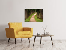 Laden Sie das Bild in den Galerie-Viewer, Leinwandbild Ein Weg im Wald