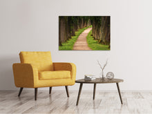 Laden Sie das Bild in den Galerie-Viewer, Leinwandbild Ein Weg im Wald