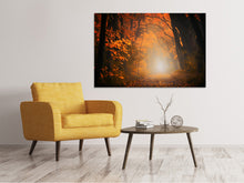 Laden Sie das Bild in den Galerie-Viewer, Leinwandbild Herbstlicht im Wald