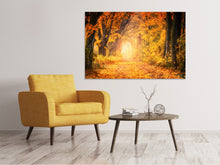 Laden Sie das Bild in den Galerie-Viewer, Leinwandbild Farben prächtiger Wald