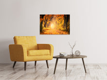 Laden Sie das Bild in den Galerie-Viewer, Leinwandbild Farben prächtiger Wald