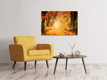 Laden Sie das Bild in den Galerie-Viewer, Leinwandbild Farben prächtiger Wald