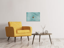 Laden Sie das Bild in den Galerie-Viewer, Leinwandbild Der kleine Seestern