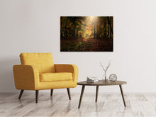 Laden Sie das Bild in den Galerie-Viewer, Leinwandbild Der Laubwald