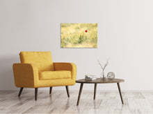 Laden Sie das Bild in den Galerie-Viewer, Leinwandbild Eine Mohnblume