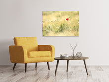 Laden Sie das Bild in den Galerie-Viewer, Leinwandbild Eine Mohnblume
