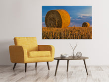 Laden Sie das Bild in den Galerie-Viewer, Leinwandbild Strohballen
