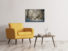 Laden Sie das Bild in den Galerie-Viewer, Leinwandbild Ein Winter Traum