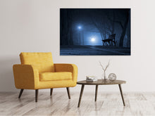 Laden Sie das Bild in den Galerie-Viewer, Leinwandbild Nachts im Park