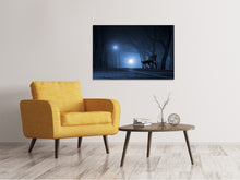 Laden Sie das Bild in den Galerie-Viewer, Leinwandbild Nachts im Park