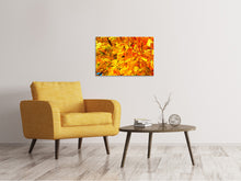 Laden Sie das Bild in den Galerie-Viewer, Leinwandbild Herbst Blätter