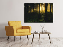 Laden Sie das Bild in den Galerie-Viewer, Leinwandbild Sonnenuntergang im Wald