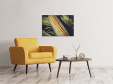 Laden Sie das Bild in den Galerie-Viewer, Leinwandbild Frischer Zuckermais