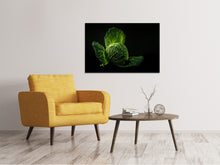 Laden Sie das Bild in den Galerie-Viewer, Leinwandbild Der Kohlkopf