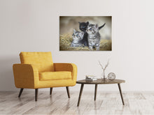 Laden Sie das Bild in den Galerie-Viewer, Leinwandbild Kitten Trio