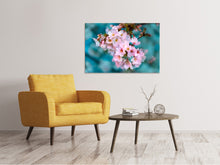 Laden Sie das Bild in den Galerie-Viewer, Leinwandbild Close up Blume