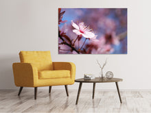 Laden Sie das Bild in den Galerie-Viewer, Leinwandbild Close up Kirschblüte