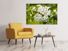 Laden Sie das Bild in den Galerie-Viewer, Leinwandbild Weisse Blüten in XL
