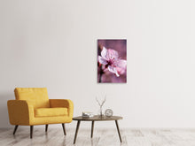 Laden Sie das Bild in den Galerie-Viewer, Leinwandbild Entzückende Kirschblüte