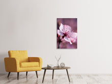 Laden Sie das Bild in den Galerie-Viewer, Leinwandbild Entzückende Kirschblüte