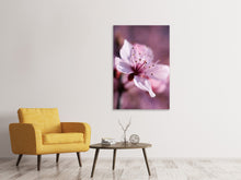 Laden Sie das Bild in den Galerie-Viewer, Leinwandbild Entzückende Kirschblüte