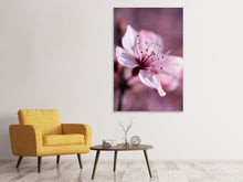 Laden Sie das Bild in den Galerie-Viewer, Leinwandbild Entzückende Kirschblüte