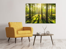 Laden Sie das Bild in den Galerie-Viewer, Leinwandbild Mitten im Wald