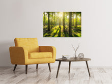 Laden Sie das Bild in den Galerie-Viewer, Leinwandbild Mitten im Wald
