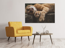 Laden Sie das Bild in den Galerie-Viewer, Leinwandbild Schlafende Katze