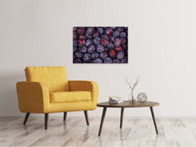 Laden Sie das Bild in den Galerie-Viewer, Leinwandbild Frische Pflaumen