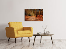 Laden Sie das Bild in den Galerie-Viewer, Leinwandbild Natur im Herbst