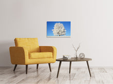 Laden Sie das Bild in den Galerie-Viewer, Leinwandbild Winter Baum