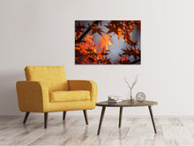 Laden Sie das Bild in den Galerie-Viewer, Leinwandbild Ahorn Blätter im Herbst