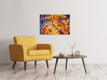 Laden Sie das Bild in den Galerie-Viewer, Leinwandbild Der Nussbaum XL